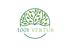 1001 Vertus