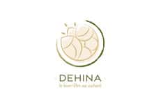 Dehina